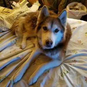 Meet your Posher, Philip